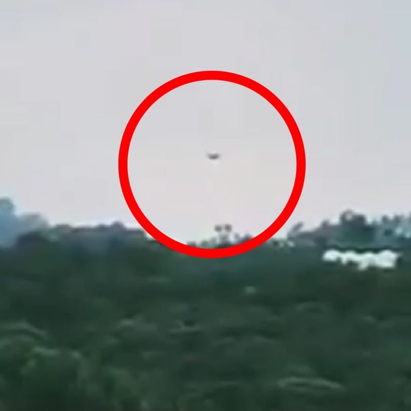 UFO landing in the jungle