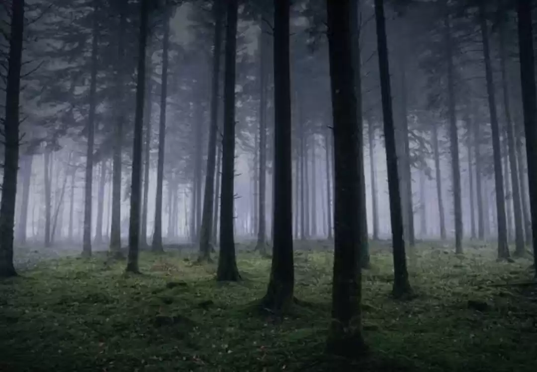 Dow Hill Kurseong - Haunted Places in India - creepyhq