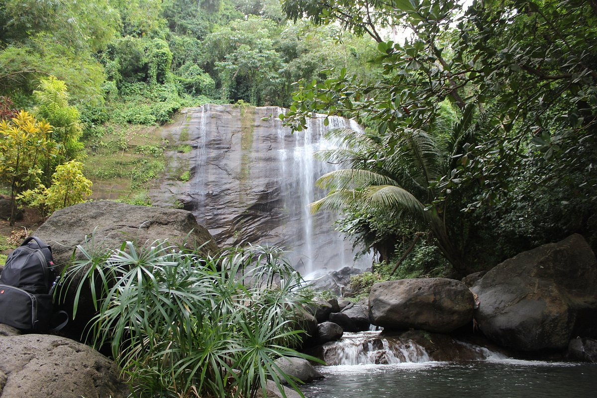 The Vanishing Hitchhiker of Mt. Carmel Falls -  Haunted Places in Grenada  - Creepyhq