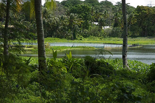 Buada Lagoon - Haunted Places in Nauru - creepyhq