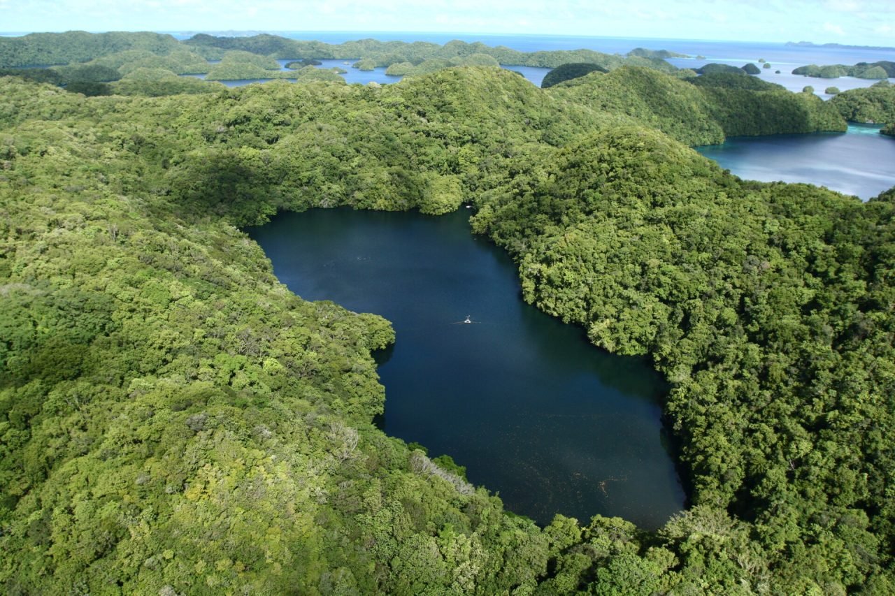 Eil Malk Jellyfish Lake - Haunted Places in Palau - creepyhq