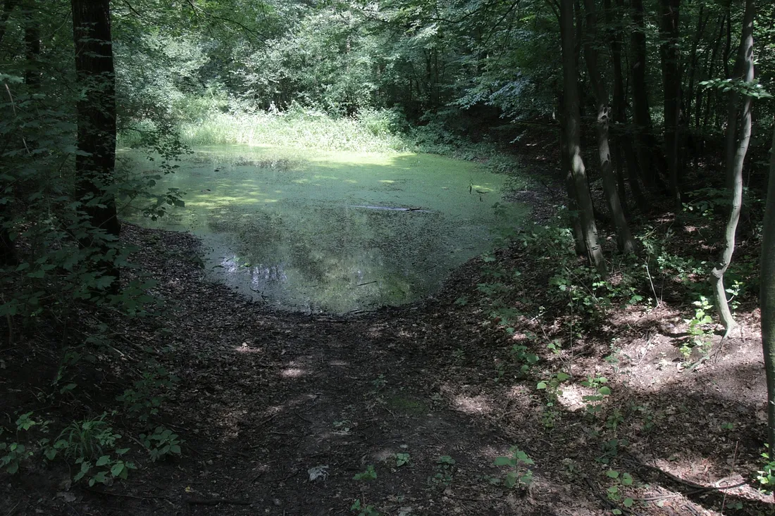 The Witches' Pond - Haunted Places in Romania