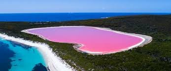 The Pink Lake (Lake Retba) - Haunted Places in Senegal - creepyhq