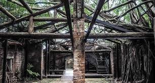 Anping Tree House - Haunted Places in Taiwan - creepyhq
