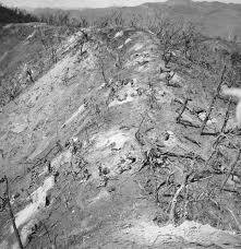 Bloody Ridge - Haunted Places in Solomon Islands - creepyhq