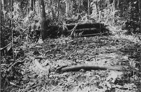 Kukum Battlefield - Haunted Places in Solomon Islands  - creepyhq