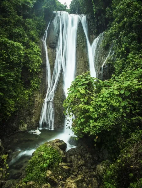 The Enchanted Forest of Tanna - Haunted Places in Vanuatu - CreepyHQ