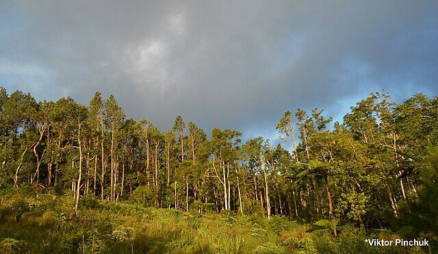 Eua National Park - Haunted Places in Tonga  - creepyhq