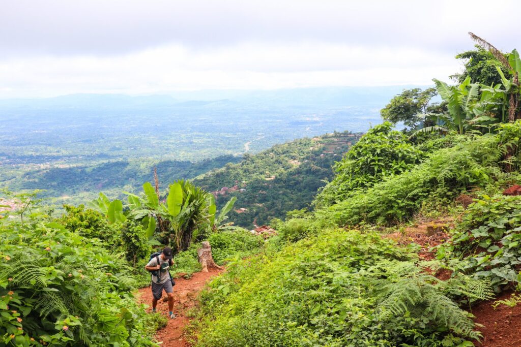 Kpalimé Forest - Haunted Places in Togo - creepyhq