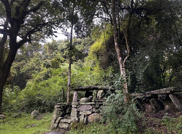 The Sacred Forest of Amlamé - Haunted Places in Togo - creepyhq
